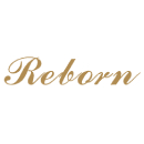 Guangdong Reborn Intelligent Equipment Technology Co., Ltd.