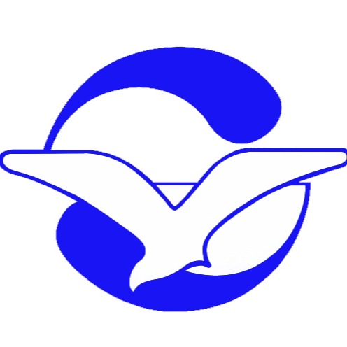 DALIAN PLASTICS RESEARCH INSTITUTE CO., LTD.