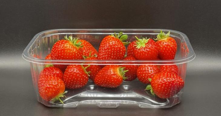 WADDINGTON EUROPE OFFERS NEW PUNNET THAT’S EASIER TO RECYCLE, USES LESS PLASTIC